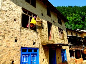 majhi gaun 3